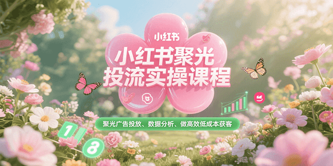 小红书聚光投流实操课程，聚光广告投放、数据分析、做高效低成本获客-智取云网创