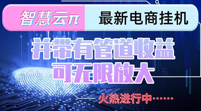 智慧云π电脑挂机单机每天收益300—500+ 并带有团队管道收益 可无限放大-智取云网创