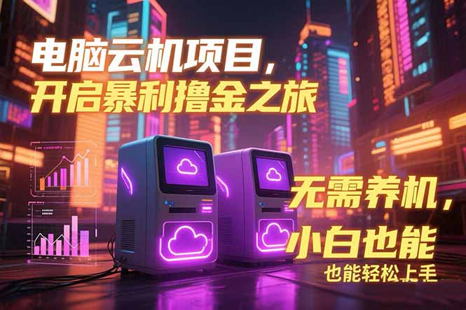 电脑云机项目 暴力撸金玩法，不需要养机 配置没有要求 单机100个窗口一…-智取云网创