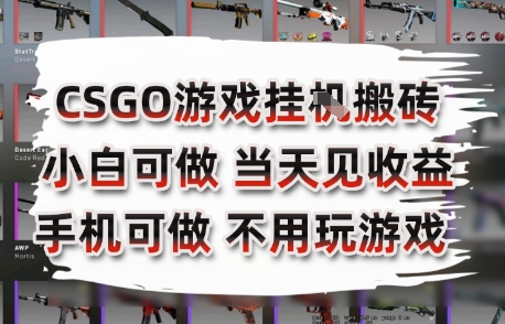 CSGO游戏挂G搬砖，小白纯手机即可操作，不用电脑打游戏，日入3张+，副业网创项目【揭秘】-智取云网创