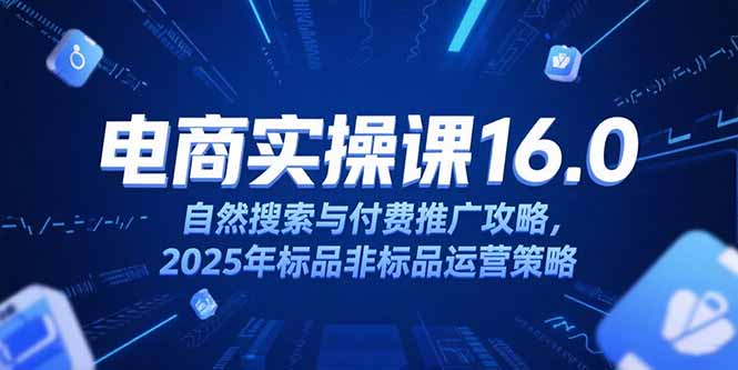 淘宝电商运营课16.0，自然搜索与付费推广攻略，2025年标品非标品运营策略-智取云网创