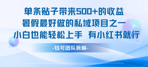 单条贴子带来5张的收益，暑假最好做的私域项目之一，小白也能轻松上手，有小红书就行-智取云网创