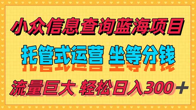 稳定日入300＋，小众信息查询蓝海项目，全程懒人式托管，解放你的时间-智取云网创