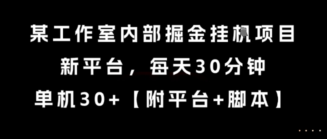 某工作室内部掘金挂G项目，新平台，每天30分钟，单机30+【揭秘】-智取云网创