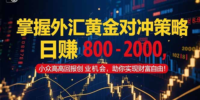掌握外汇黄金对冲策略，日赚 800 – 2000，小众高回报创业机会，助你实…-智取云网创