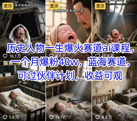历史人物一生爆火赛道ai课程，一个月爆粉40w，蓝海赛道，可过伙伴计划，收益可观-智取云网创