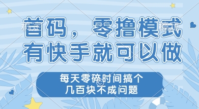 首码零撸项目，有快手就可以做，每天业务时间搞个几张不是问题【揭秘】-智取云网创