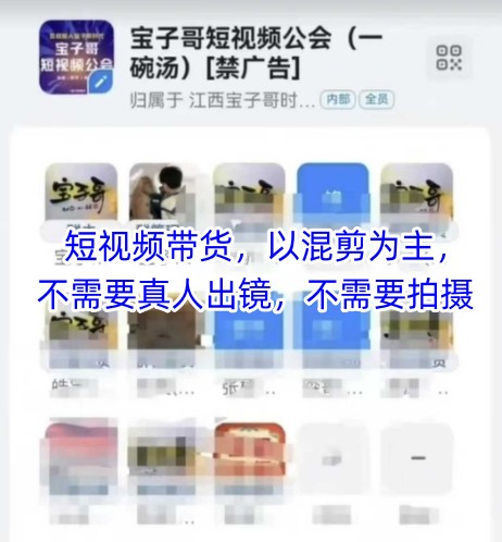宝子哥头部团队短视频带货，以混剪为主，不需要真人出镜，不需要拍摄【更新6月】-智取云网创