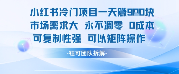 小红书冷门项目一天收益9张，市场需求大，0成本，可复制性强可以矩阵操作-智取云网创